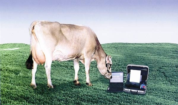 WinPac, in aiuto degli allevatori per la scelta dei tori