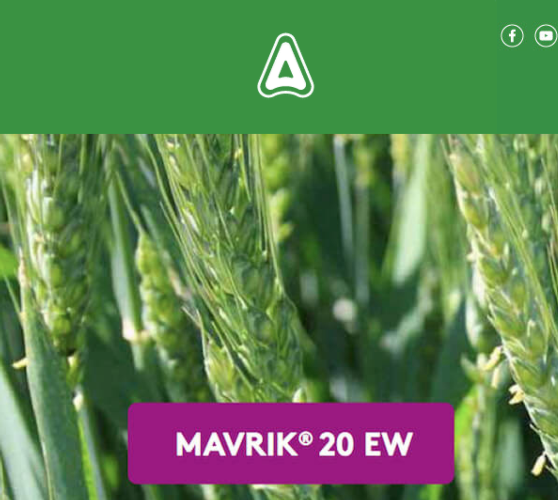 Mavrik 20 EW: l'insetticida specialista dei cereali