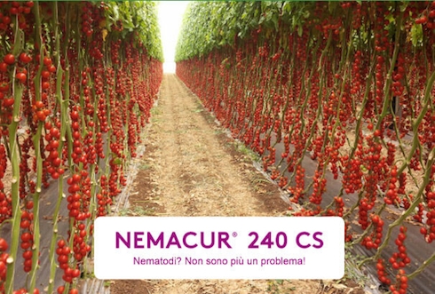 Nemacur 240 CS di Adama, contro i nematodi