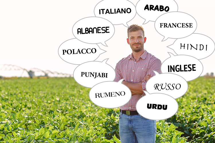 Il decalogo è stato tradotto in undici lingue per raggiungere lavoratori di più nazionalità