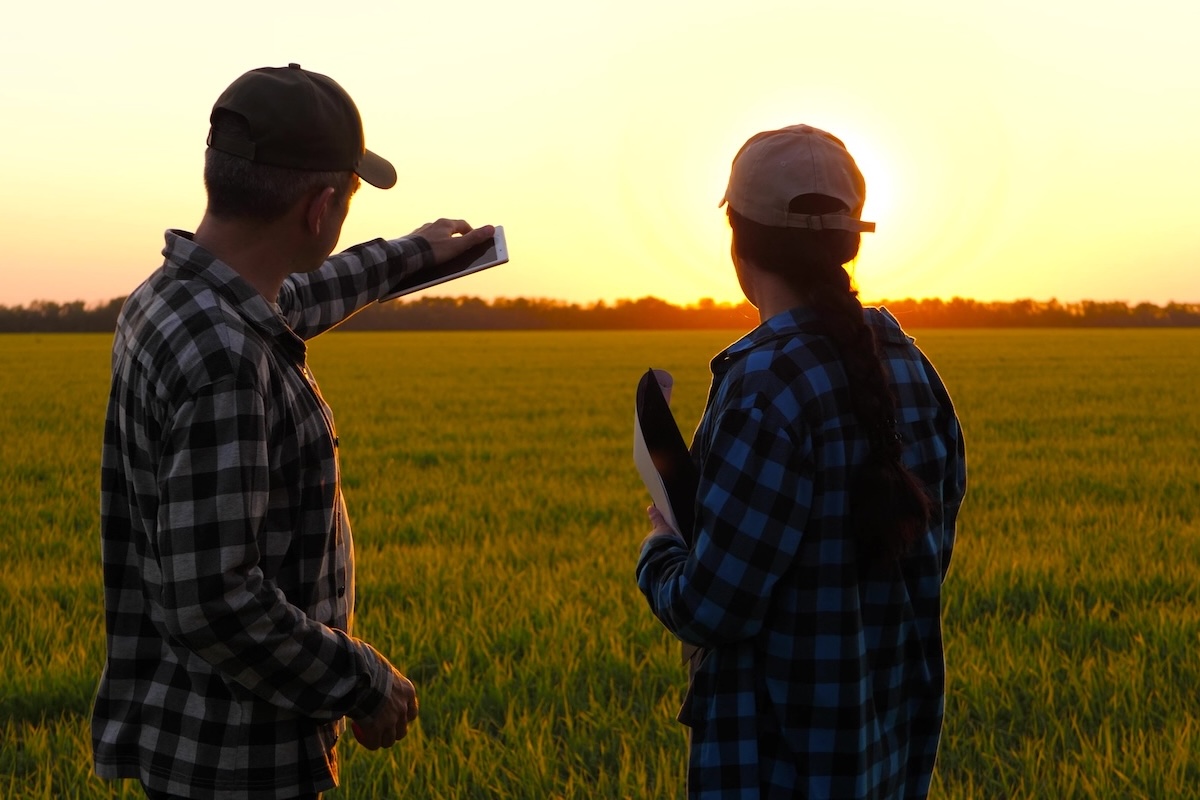 Fito Academy, la formazione per tecnici in agricoltura aggiornati