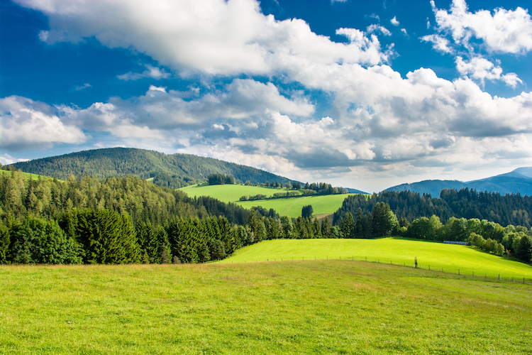 In Austria su 116mila agricoltori, oltre il 20% conduce strutture biologiche, tanto che ogni anno per il bio vengono stanziati circa 110 milioni dalla Pac