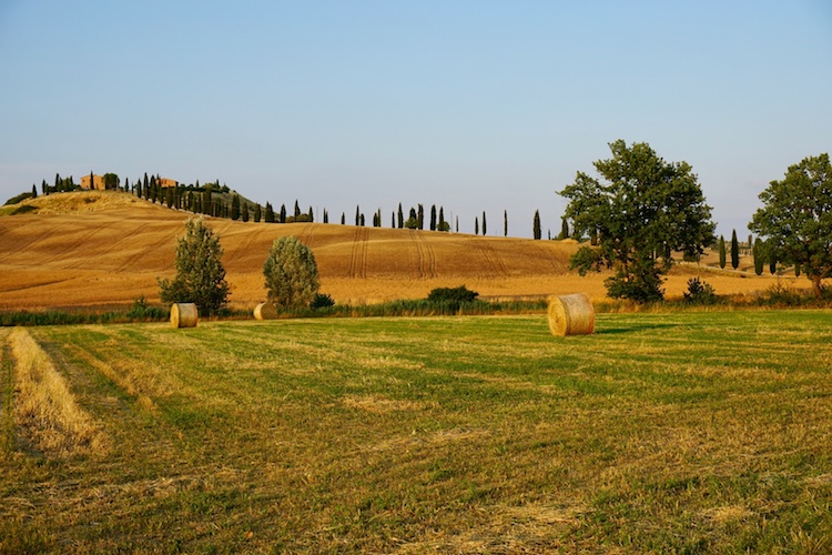 Un classico paesaggio agricolo toscano, ma sono mezzo milione gli ettari non coltivati