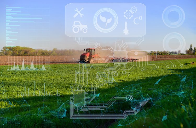 La transizione digitale dell'agricoltura accelera con gli incentivi 4.0 (Foto di archivio)