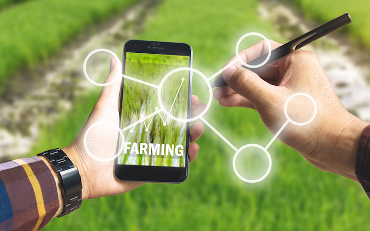 Le tecnologie per lavorare con l'IoT in agricoltura esistono