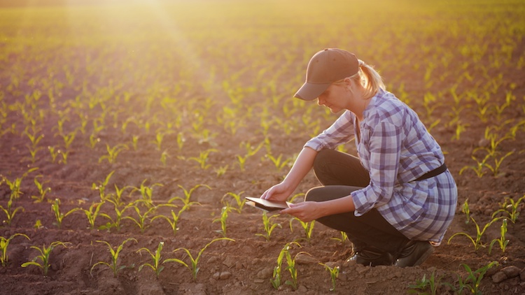 L'approccio all'agricoltura digitale deve essere graduale