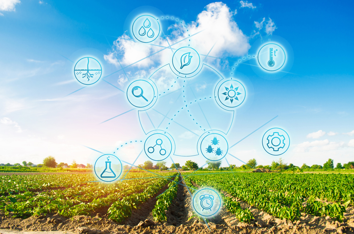 L'interoperabilità nell'agricoltura 4.0