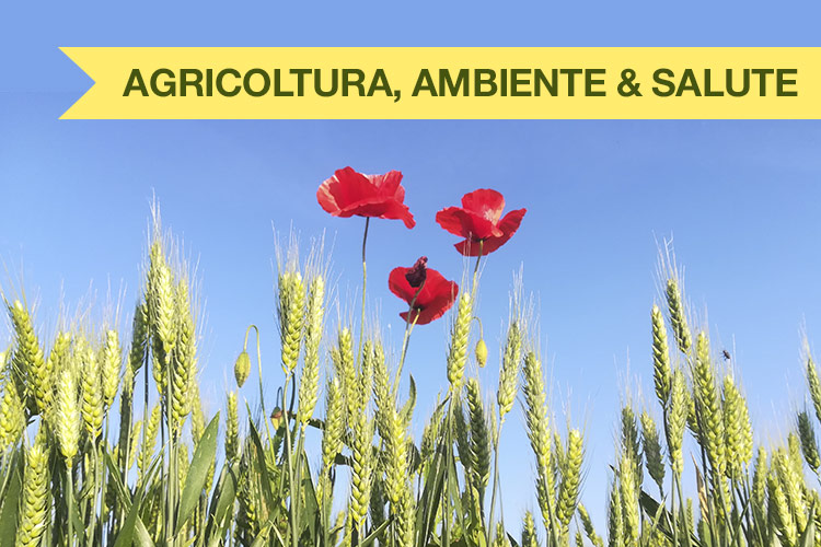 Agricoltura, Ambiente & Salute: Arpa Lombardia e acque superficiali