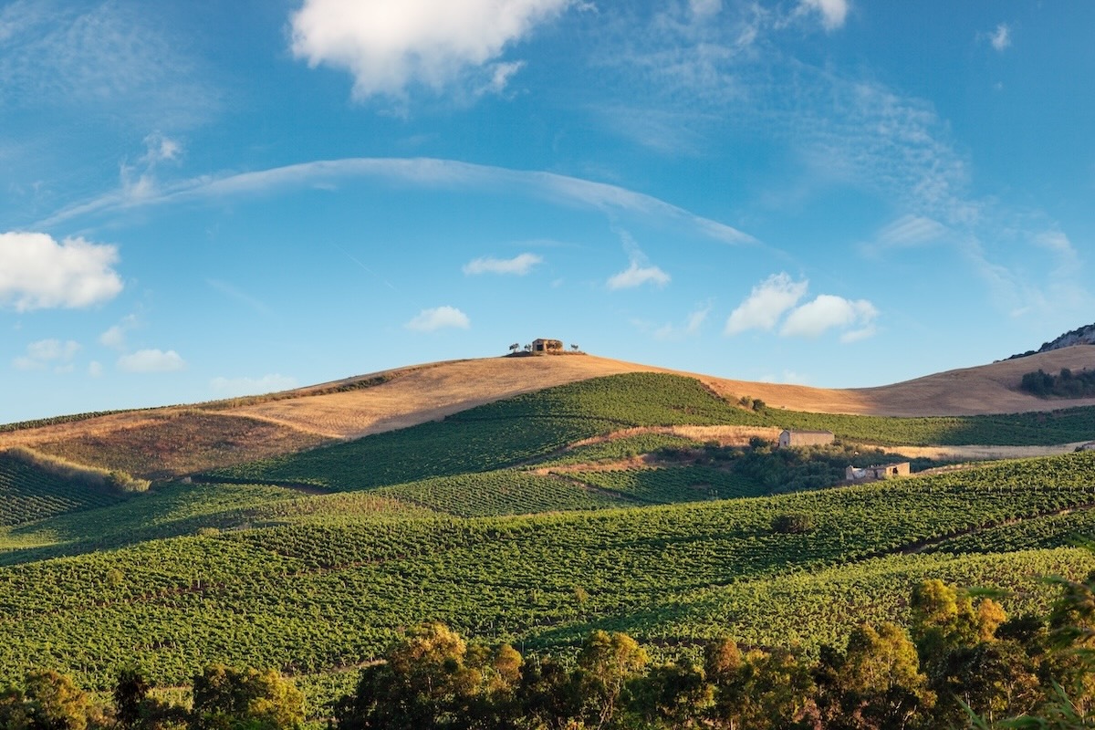 G7 Agricoltura: scienza e innovazione in agricoltura per l'adattamento al nuovo clima