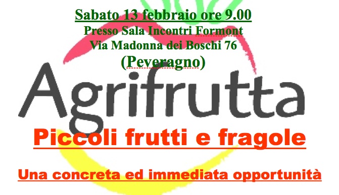 Piccoli frutti e fragole: presentazione del progetto