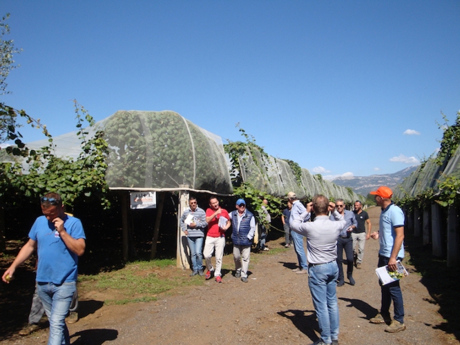 All’evento sono stati presentati i risultati pratici dell’applicazione delle specialità su kiwi a polpa verde e a polpa gialla