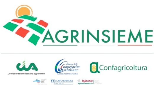 Agrinsieme è il coordinamento tra Cia, Confagricoltura e Alleanza delle cooperative agroalimentari