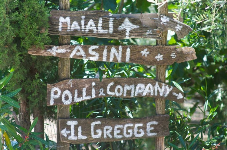 Indicazioni di un percorso didattico in uno degli agriturismi della Campania: il ritrovato contatto con la natura tra i fattori che spingono il turismo verde