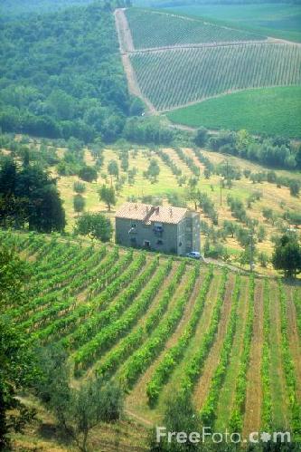 Toscana, più agricoltura per la sopravvivenza dei territori montani