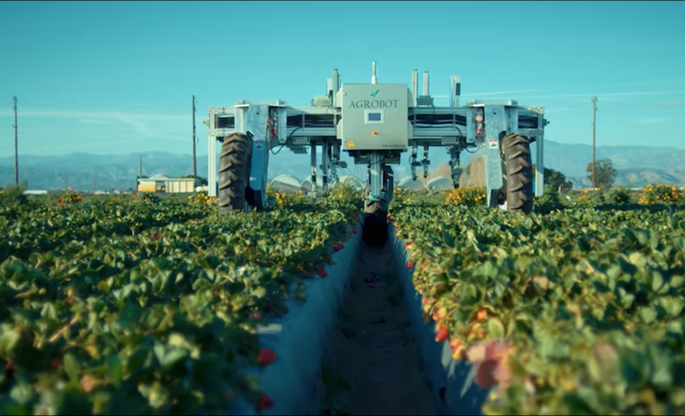 Gli AgBot sono i robot dedicati all'agricoltura