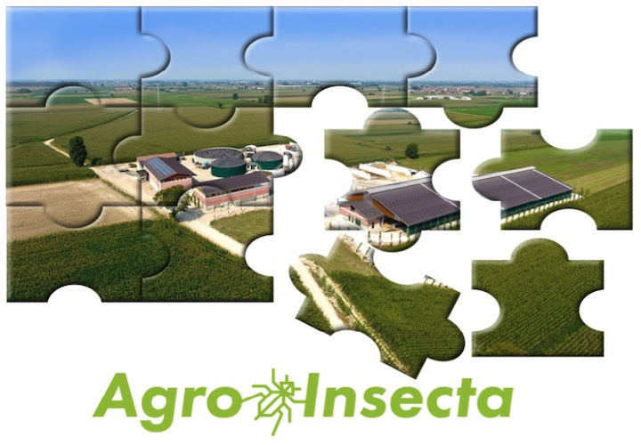 agroinsecta.png