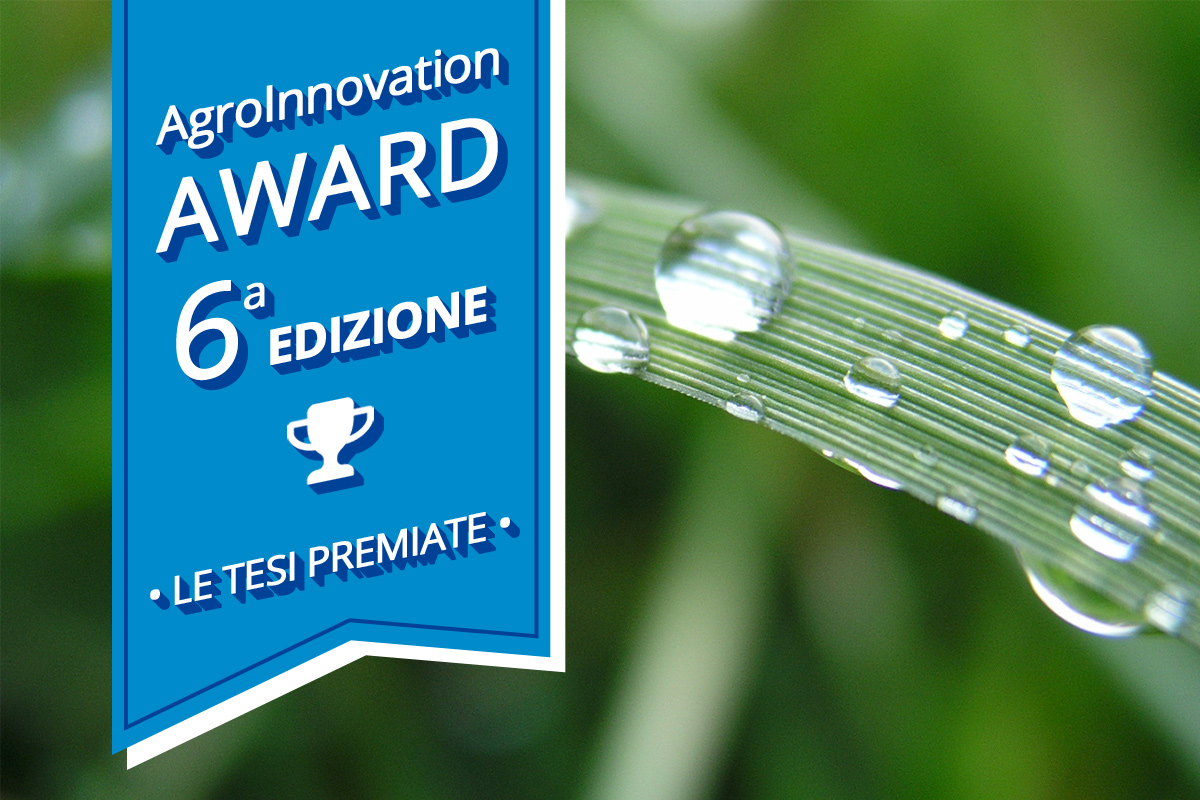 AgroInnovation Award è il premio di laurea che promuove la diffusione di approcci innovativi, strumenti digitali e l'utilizzo di internet in agricoltura (Foto di archivio)