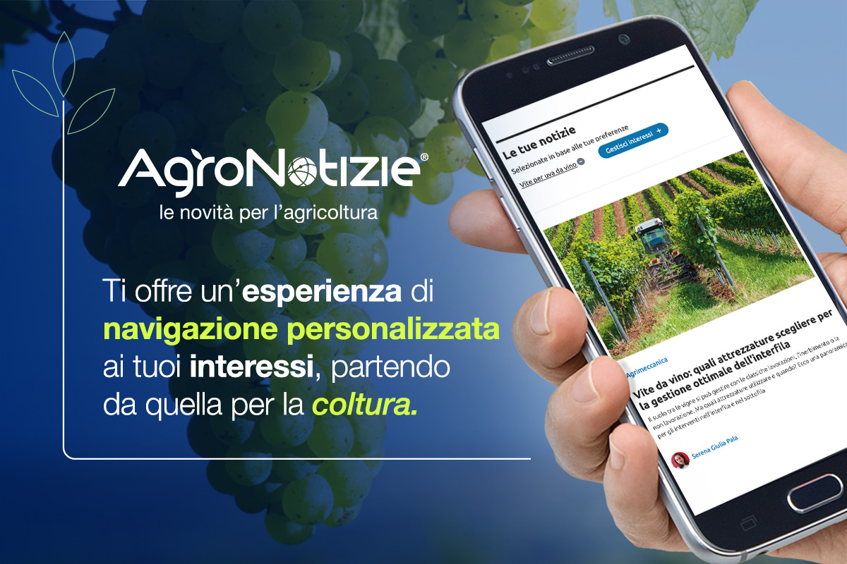 Ora su AgroNotizie® è possibile selezionare le informazioni in base alle colture, ma anche agli argomenti e alle aziende di interesse