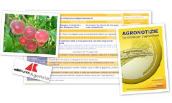 AGRONOTIZIE.IT: LE NEWS QUOTIDIANE DALL'AGROALIMENTARE