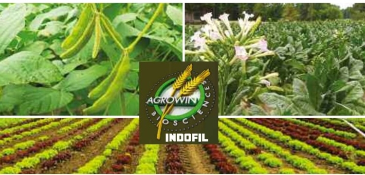 La nuova linea di fertilizzanti speciali di Agrowin Bioscience