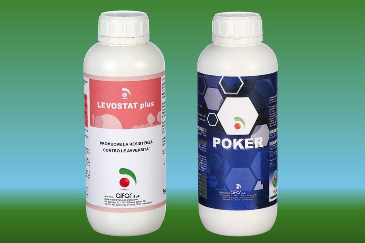 Poker e Levostat Plus: coppia d'assi per le orticole in serra - le news di Fertilgest sui fertilizzanti
