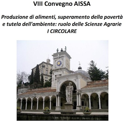 8° convegno Aissa<br />Udine, 24 - 26 novembre 2010
