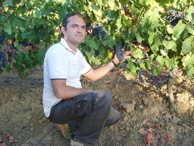 Alessandro Logenco in uno dei vigneti dove si producono le uve per l'Etna doc