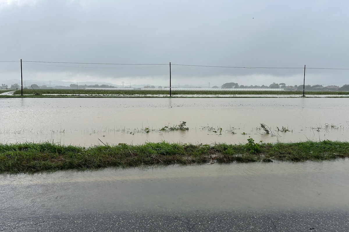 Alluvione, torna l’incubo in Romagna – Economia e politica #adessonews