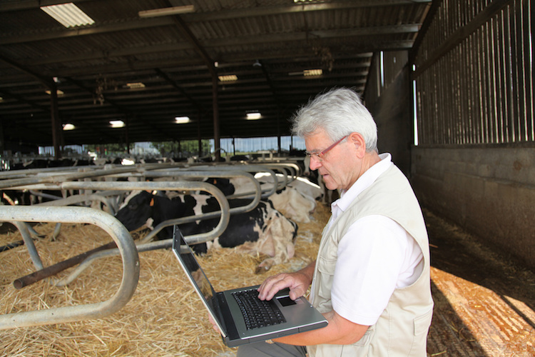 Una connessione ad internet è essenziale per fare agricoltura digitale