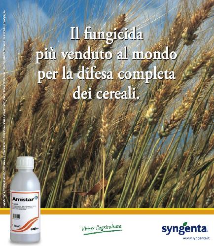 Amistar®, il fungicida per la difesa completa dei cereali - Difesa e  diserbo - AgroNotizie