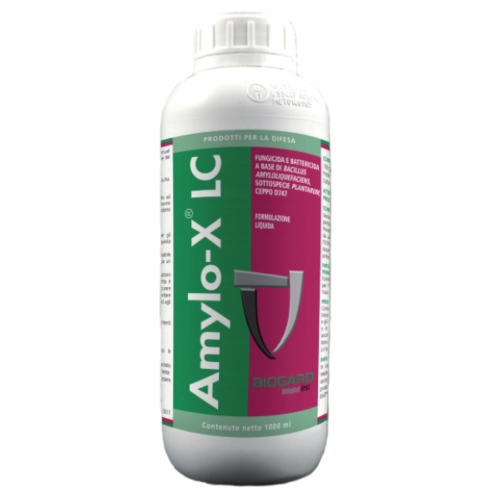 Amylo-X® LC è un fungicida microbiologico a base del batterio Bacillus amyloliquefaciens sottospecie plantarum