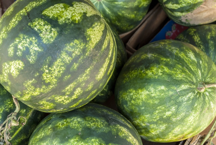 Cocomero e melone, le proposte di Caprara per la fisio-nutrizione: Prime-Melon L e Vit.Line B