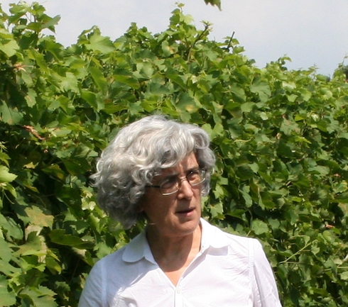 Anna Maria Vercesi, docente di Patologia vegetale all'Università di Milano