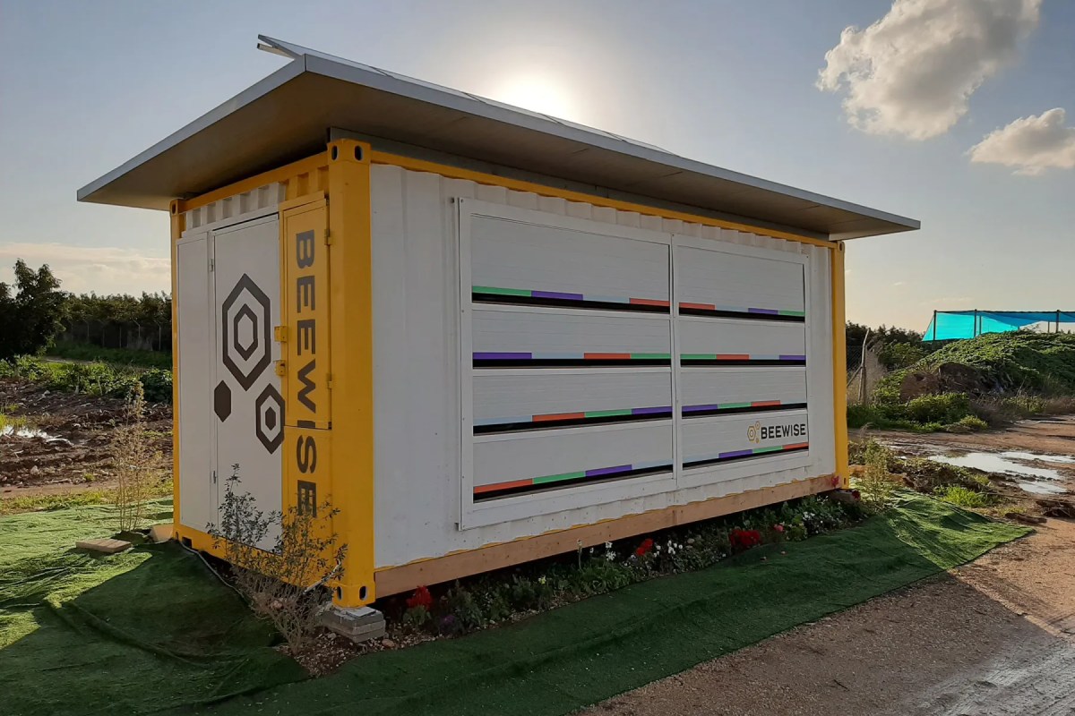 I campi di applicazione dell'intelligenza artificiale