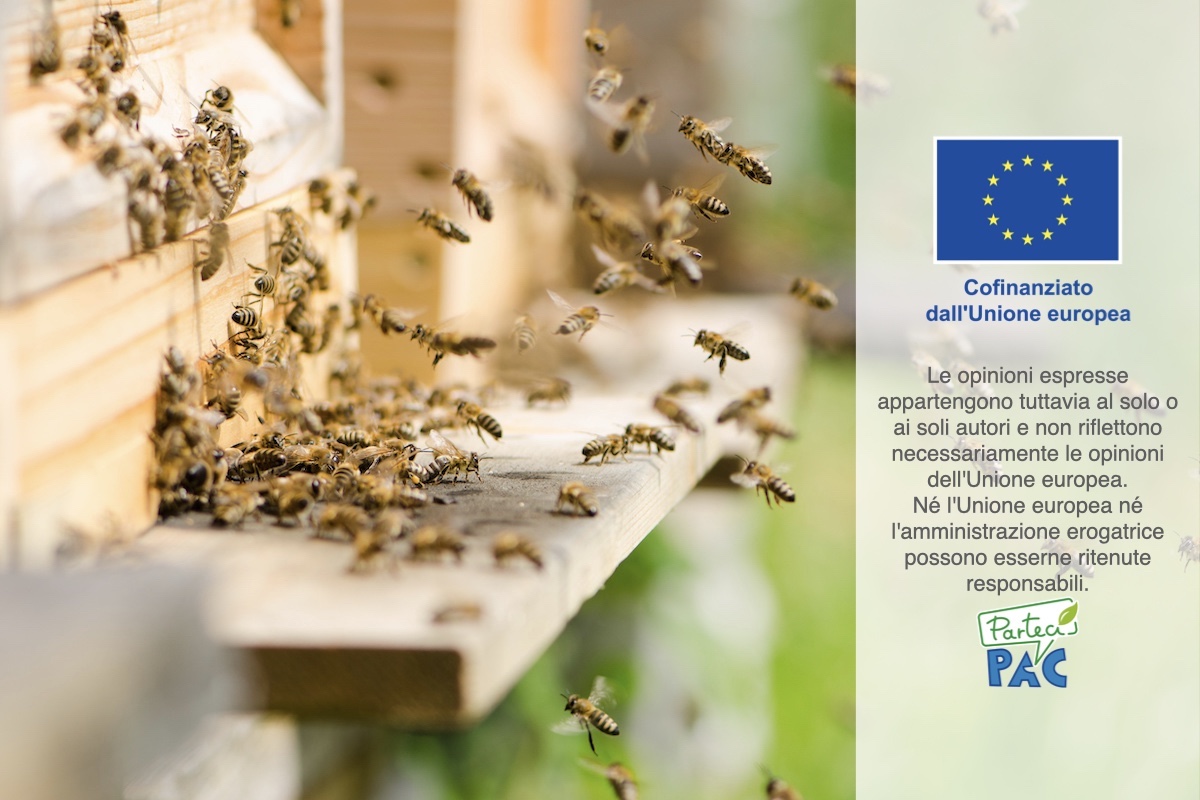 L'Ecoschema 5 prevede misure specifiche per gli insetti pronubi