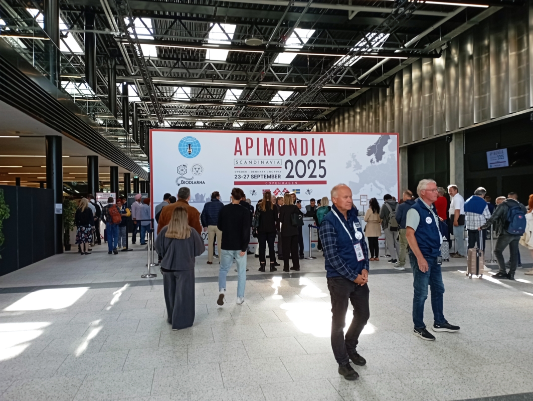 Apimondia 2025: i riconoscimenti alle ricercatrici italiane