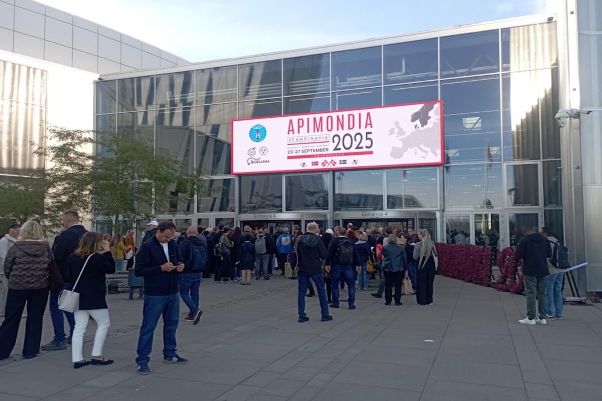 Apimondia, si apre il congresso mondiale a Copenaghen