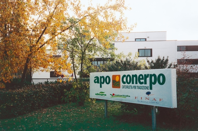 Compie vent'anni Apo Conerpo, la più grande Organizzazione europea di produttori di ortofrutta