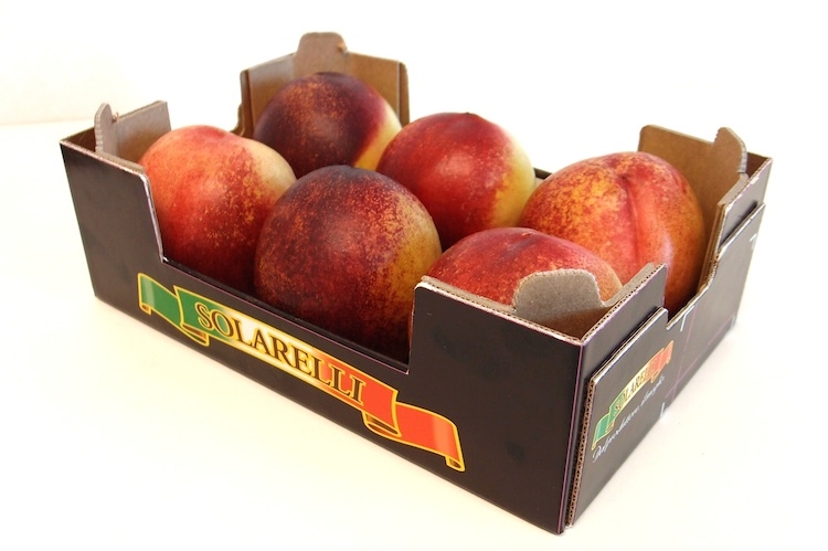 Apofruit ha illustrato le strategie di valorizzazione e distintività della frutta estiva