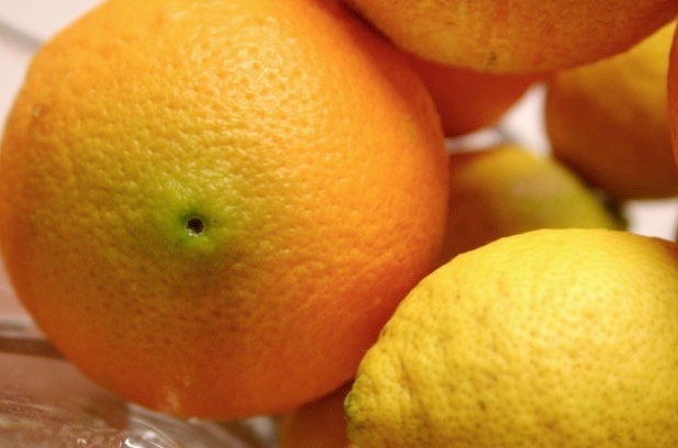 arance-limoni-arancia-limone-agrumi-fonte-morguefile-solracgi2nd.jpg