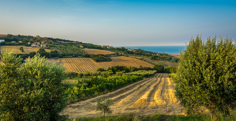 Paesaggio agrario nella zona di Fermo, nelle Marche, Regione sede del distretto biologico più grande d'Europa (Foto di archivio)