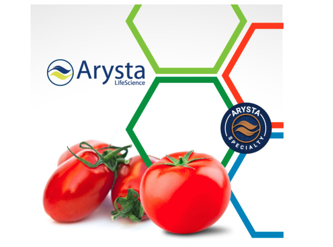 La linea per il pomodoro di Arysta LifeScience