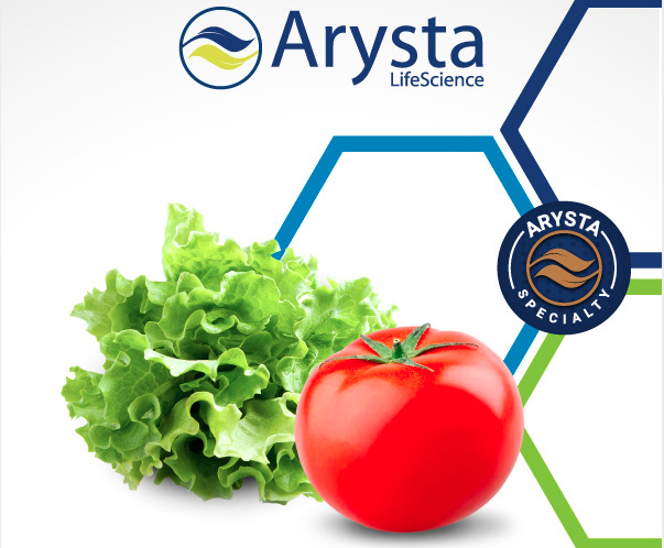 Le soluzioni Arysta LifeScience per gli ortaggi a foglia e a frutto