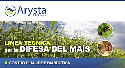 Le soluzioni di Arysta Lifescience contro la piralide del mais