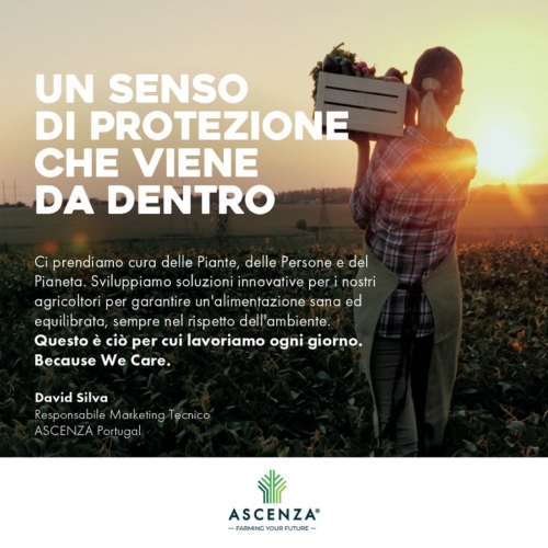 ascenza-because-we-care-2021.jpg