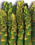 L'asparago di Badoere verso l'Igp