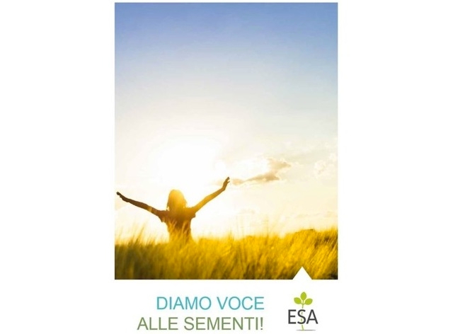 ‘Diamo voce alle sementi’: il documento strategico dell’Associazione sementiera europea per rilanciare la ricerca varietale