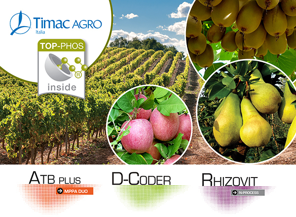 Le soluzioni nutrizionali di Timac Agro Italia, specifiche per la concimazione autunnale delle colture arboree