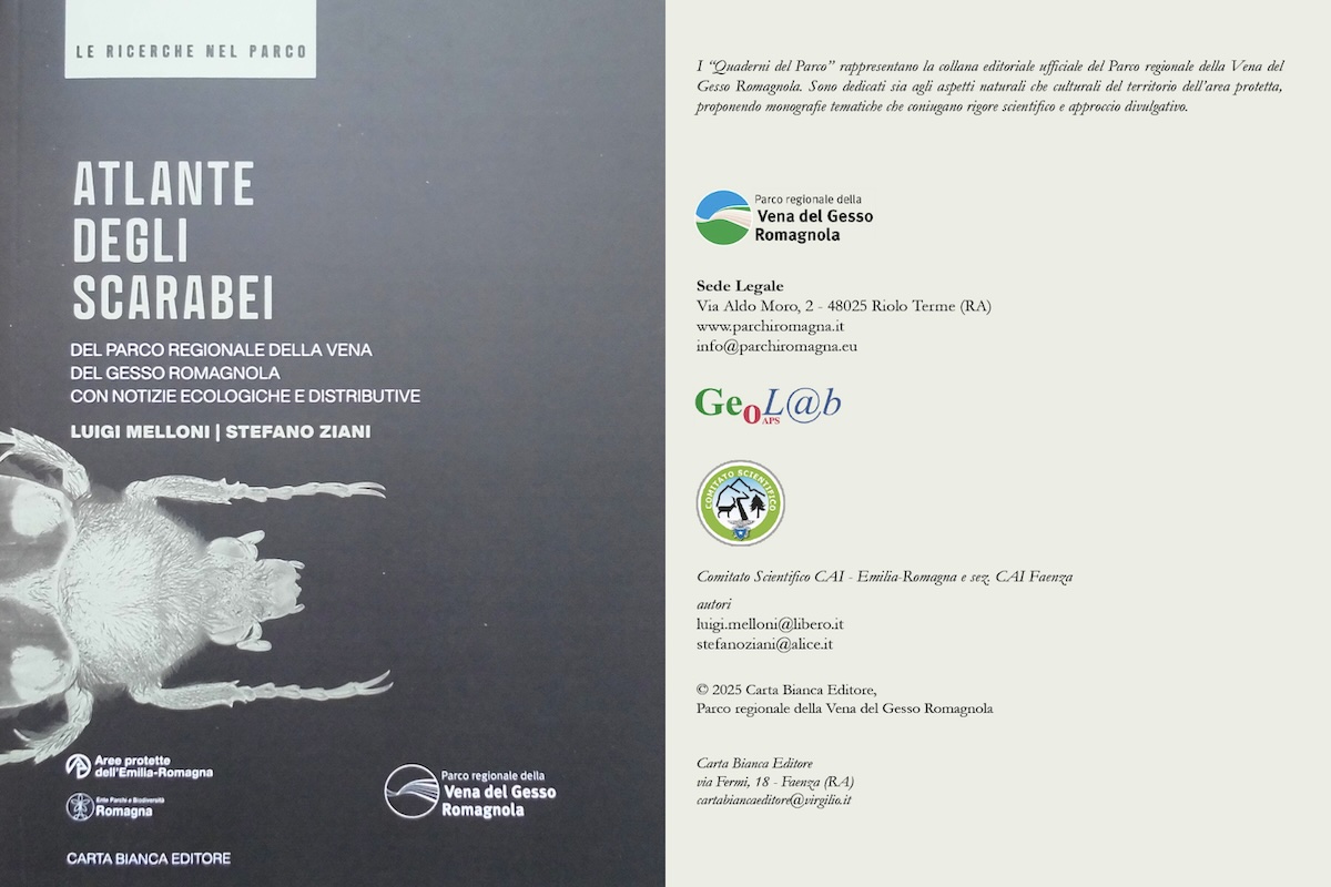 La copertina del libro di Luigi Melloni e Stefano Ziani