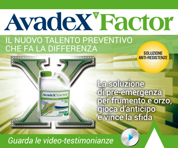  Avadex Factor, la soluzione ideale per il diserbo in pre emergenza di frumento e orzo